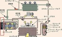 回答の画像