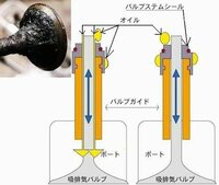 回答の画像