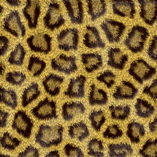 Photoshopで豹柄を作り方について 色々検索しましたが Yahoo 知恵袋