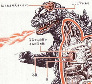 ゴジラの心臓ってどこにありますか 時代により様々な図解が描かれ Yahoo 知恵袋