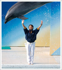 イルカの鳴き声はどんな音ですか 犬ならワンなように イ Yahoo 知恵袋