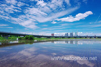 夏休みの宿題で埼玉県の夏の風景を書かなくてはいけないのですが良い画像があ Yahoo 知恵袋