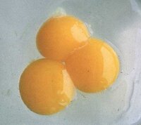 黄身が三つ 玉子の中には二黄卵 におうらん と言った黄身が卵 Yahoo 知恵袋