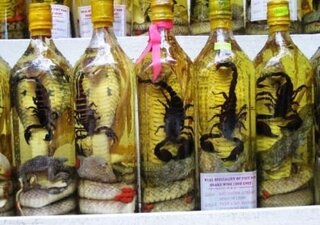 マムシ酒 ハブ酒など毒蛇の お酒が有りますが毒はどうなるんですか Yahoo 知恵袋