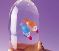 小５の娘の自由研究について コカ コーラで骨は溶けるのか 鳥の骨を使ってや Yahoo 知恵袋