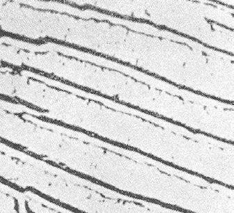 鋼の金属組織について質問ですパーライトはなぜ顕微鏡（500倍）で見る 