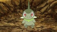 ポケモンの質問です キバゴ可愛いですよね キバゴの画像持ってる方いませ Yahoo 知恵袋