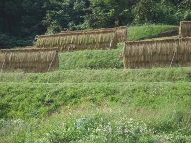 不思議なことがあります はざかけ を辞書でひいてみたら載っていませんでし Yahoo 知恵袋