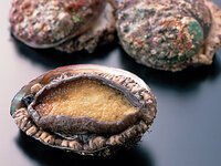 こんなうまい 貝 は初めて食べたわ 教えて下さい そんな 貝 Yahoo 知恵袋