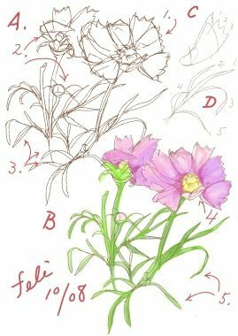 花の描き方 絵を描くのが好きな中２です 今回は花の描き方 Yahoo 知恵袋