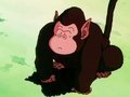 ドラゴンボールについてゴリラみたいなやつの名前教えてください サ Yahoo 知恵袋
