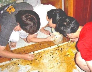 韓国の辛ラーメン 農心 の 発ガン性物質 異物混入がありましたね 怖いろんなサ Yahoo 知恵袋