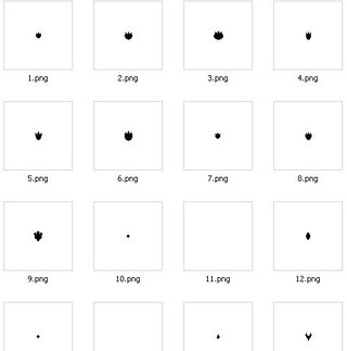 視聴者 腐った クラフト ポケモン 足跡 図鑑 Sridnrgdcw Org