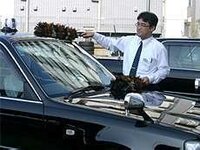 車用毛ばたきについてよくタクシーの運転手が車用の毛ばたきで埃や砂等を落としてま Yahoo 知恵袋