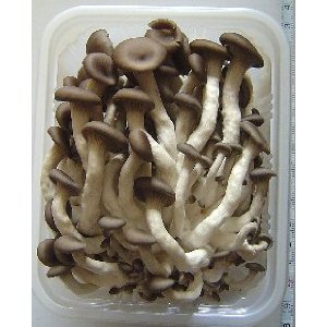 昔の『しめじ』探してます!!灰色で小さくてクシャっとしてる『しめじ