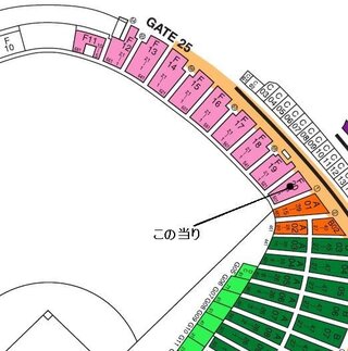 東京ドームの25ゲート１通路外野ライト12列513番ってどのへんか教え Yahoo 知恵袋