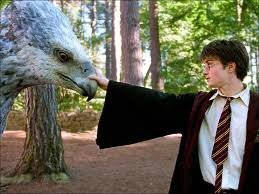 ハリポッターの鳥 ハリーポッターのヘドウィグ」シロフクロウと暮らす男性「笑って