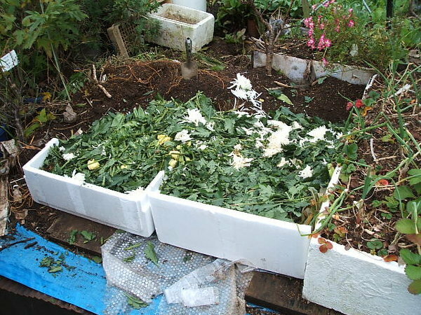 家庭菜園で使う土をかさ増しする方法はありませんか？家庭菜園を 