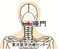 読み方 棘 突起