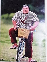 お相撲さんが乗ってる自転車