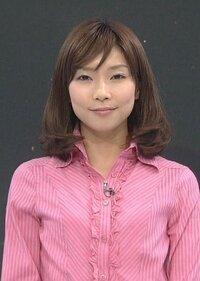 寺川奈津美を動物に例えたら何ですか キツネ ｎｈｋのお天気キャスター気象 Yahoo 知恵袋