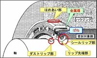 回答の画像