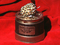 ラブベリー賞は 演技が下手な人がもらう賞ですか リンジーロー Yahoo 知恵袋