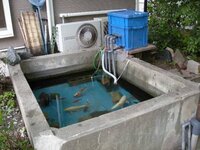 家の庭に池があるのですが コケなどが生えて 掃除しても 1週間ぐらでコケが Yahoo 知恵袋