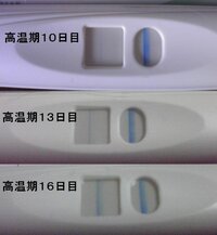 高温期１２日目 クリアブルーでのフライング結果について Yahoo 知恵袋