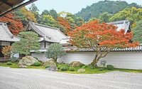 龍安寺に石庭で 虎の子渡しの庭 と呼ばれている物がありますが南禅寺にも同じ呼び Yahoo 知恵袋