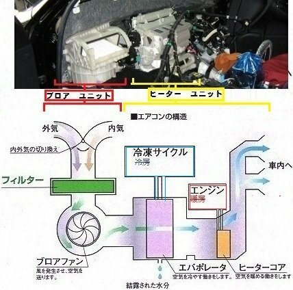 車のエアコンをつけるとカメムシのニオイが 母の Yahoo 知恵袋