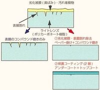 回答の画像