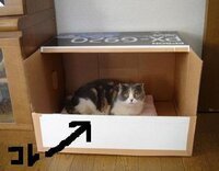 産箱これでいいですか まだまだ妊娠一週間もたたないですが 産箱 Yahoo 知恵袋
