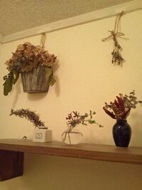 ラベンダーの活用方法 お庭にたくさんラベンダーができたのでポプリ以外で Yahoo 知恵袋