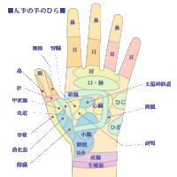 頭の右後ろの１部分が触るだけで痛いです ここ２ ３日頭痛が続 Yahoo 知恵袋