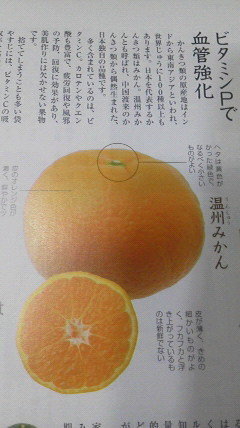 みかんのカビか教えてください 今日 名前はわからないのですが Yahoo 知恵袋