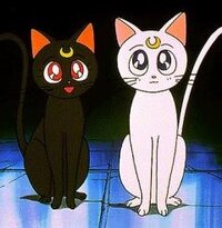 セーラームーン 猫 ルナ