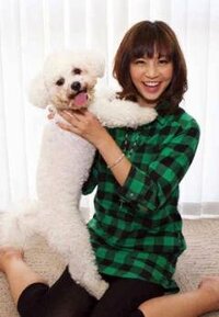 安田美沙子ちゃんが飼っている 犬の種類ってなんですか あの 白くて Yahoo 知恵袋