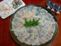 鱧のお刺身について 魚屋さんでハモの刺身が売っており 骨は全て除いてあ Yahoo 知恵袋