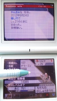 ポケモンbw2についての質問なんですがスキルリンクを持つ夢チラーミィが出 Yahoo 知恵袋