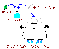 葉脈標本の作り方を詳しく教えてください 材料 上手くできる葉 Yahoo 知恵袋