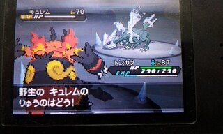 ポケモンbw2のブラック2をプレイしているのですが Bwでは出た色違いのキ Yahoo 知恵袋