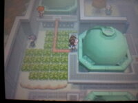 ポケモンbwのタチワキコンビナートで作業員３人と戦ってほしいといわ Yahoo 知恵袋