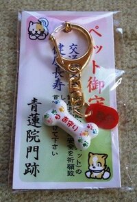 京都 ペット 神社 販売