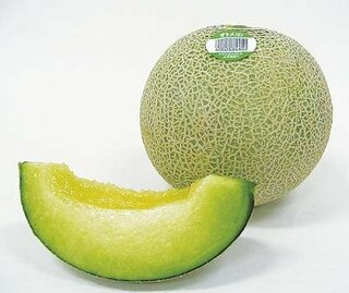 メロンは果物ですか 野菜ですか 母と論争しています 農 Yahoo 知恵袋