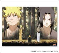 ｎａｒｕｔｏで一番嫌いな女性キャラは誰ですか 年齢で性別と理由も Yahoo 知恵袋