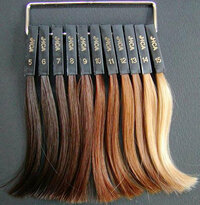 髪の毛の色で カラー１０トーンとはどのくらいでしょうか これは １０ト Yahoo Beauty