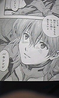 エヴァの漫画についてネタバレでも良いので12巻の内容と 13巻になる予定の Yahoo 知恵袋