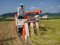 檜佐木修兵の卍解ってなんですか 始解が 命を刈り取る形 だったら Yahoo 知恵袋