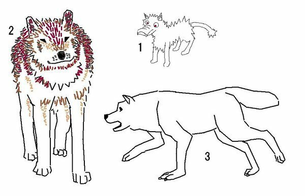 オオカミの絵の描き方を教えて下さい最近オオカミの絵を描いている Yahoo 知恵袋